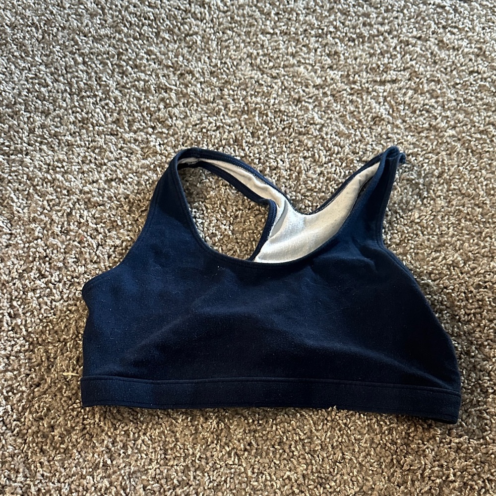 Champion Dark Blue and Gray Sports Bra